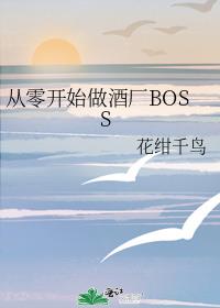 㿪ʼƳBOSS