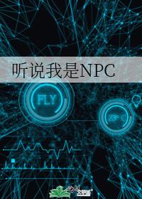 ˵NPC