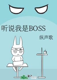 ˵BOSS