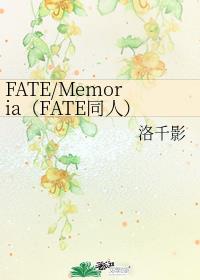 FATE/MemoriaFATEͬˣ